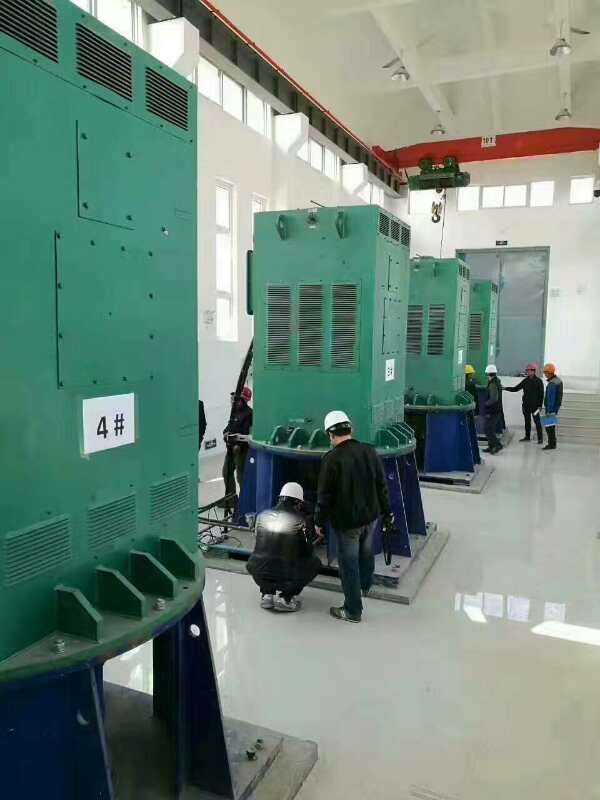 兵团五十团某污水处理厂使用我厂的立式高压电机安装现场生产厂家